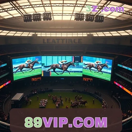 89VIP.COM Torneios